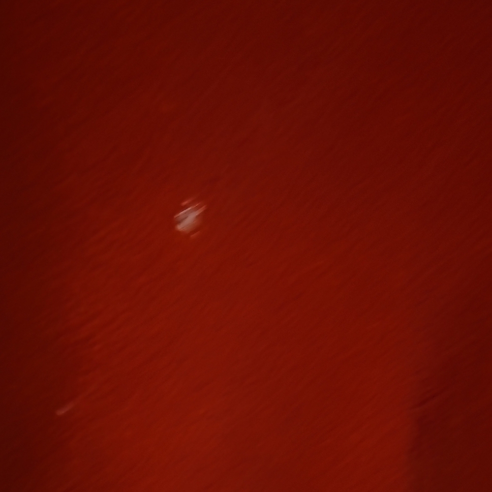 Red Fleece Jacket - Picture 6 of 7